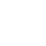 shelby w